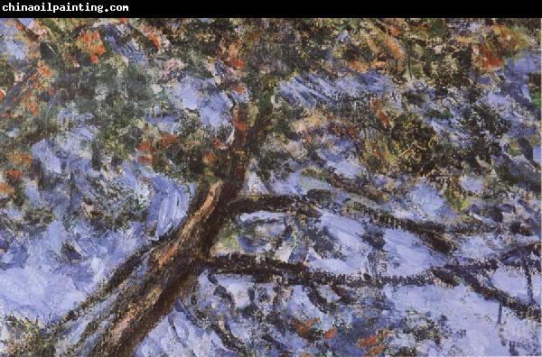 Claude Monet Unknown work