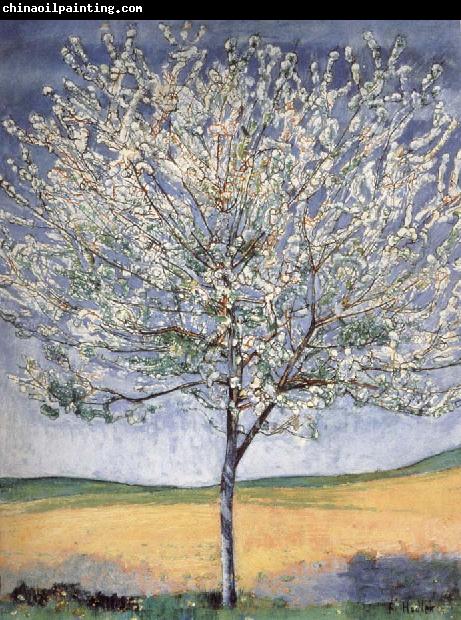 Ferdinand Hodler Cherry tree in bloom