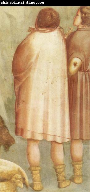 GIOTTO di Bondone Detail of Birth of Christ