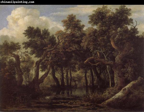 Jacob van Ruisdael Marsh in a Forest