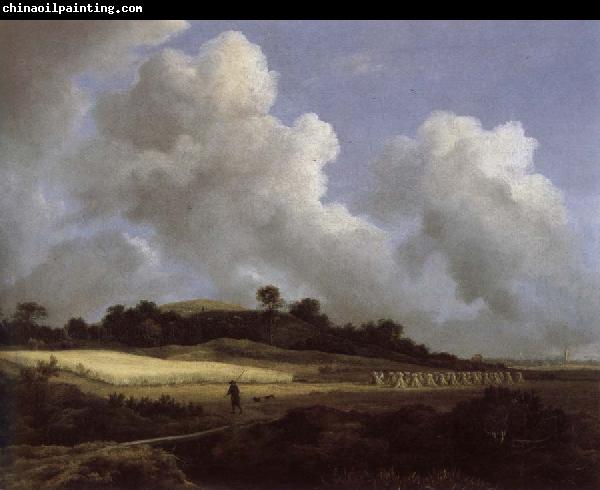 Jacob van Ruisdael View of Grainfields with a Distant town