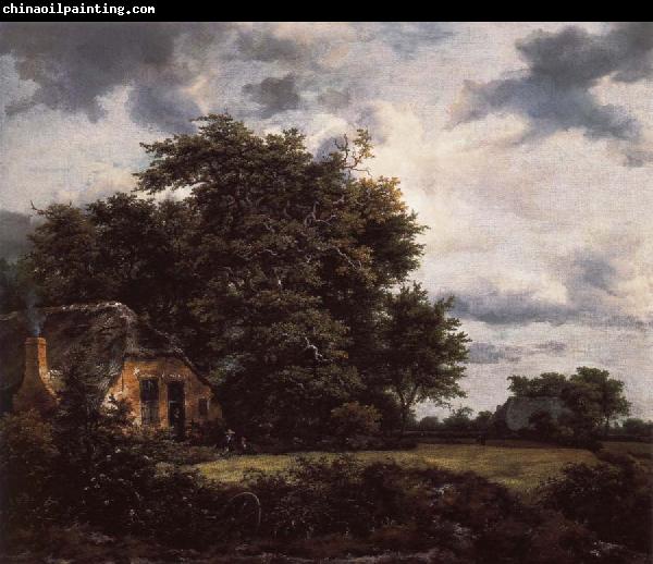 Jacob van Ruisdael Cottage under the trees near a Grainfield