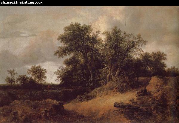 Jacob van Ruisdael Dune Landfscape