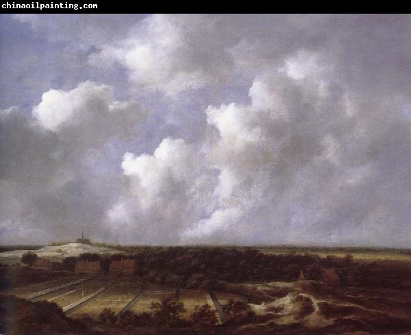 Jacob van Ruisdael View of the Dunes near Bl oemendaal with Bleaching Fields