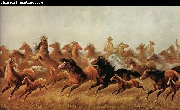 James Walker Roping wild horses