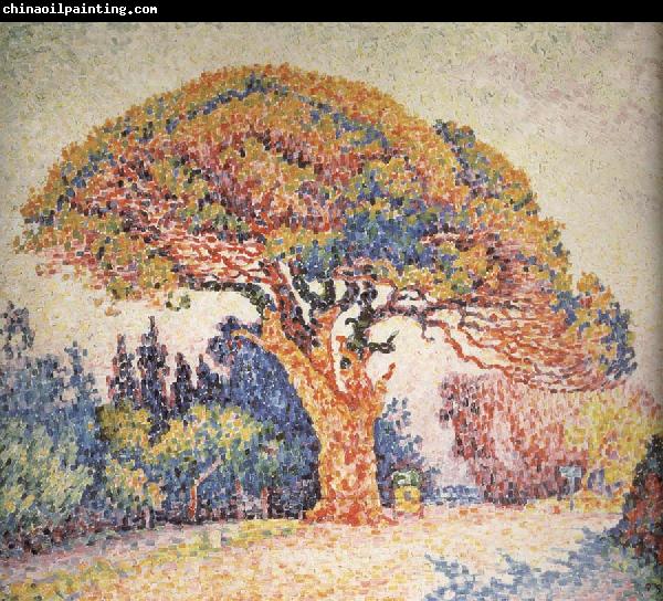 Paul Signac Pine