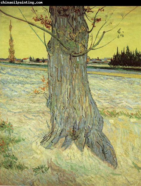 Vincent Van Gogh The Old yew tree