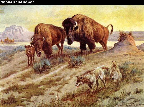 unknow artist Buffalo Family