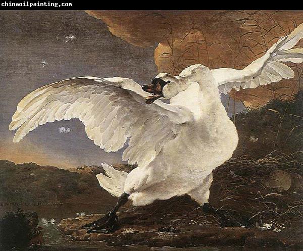 ASSELYN, Jan The Threatened Swan before 1652