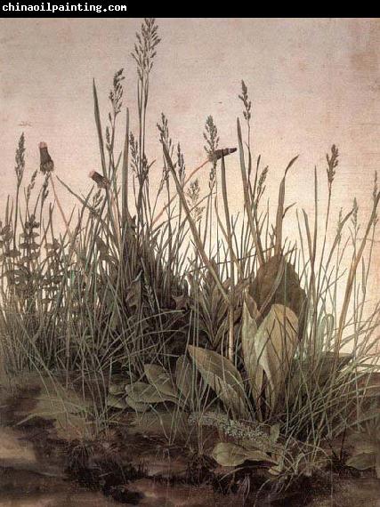 Albrecht Durer The Large Turf