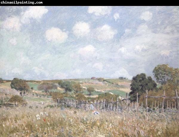 Alfred Sisley Ang