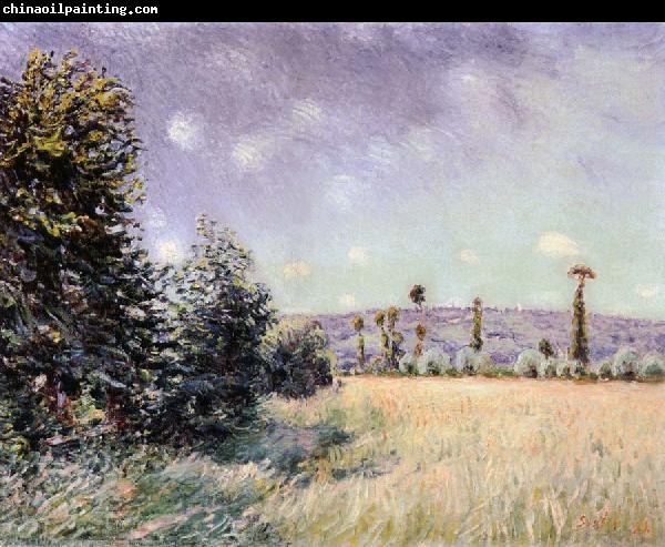 Alfred Sisley Sahurs Meadows in the Morning Sun