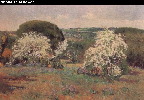 Aureliano De Beruete Y Moret Hawthorn in Blossom