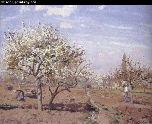 Camille Pissarro Flowering frukttradgard Louveciennes