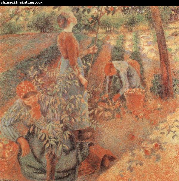 Camille Pissarro Apple picking