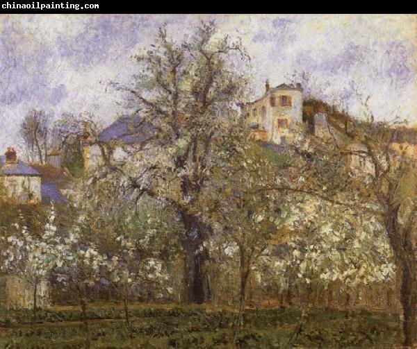 Camille Pissarro Vegetable Garden and Trees in Blossom