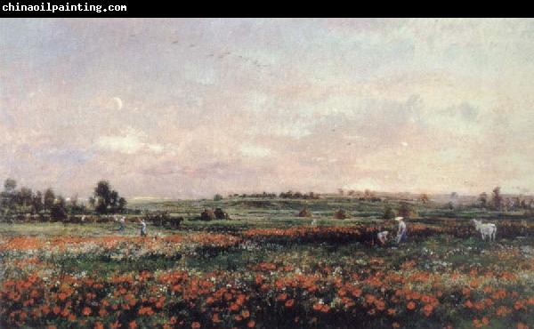 Charles Francois Daubigny Poppy Field