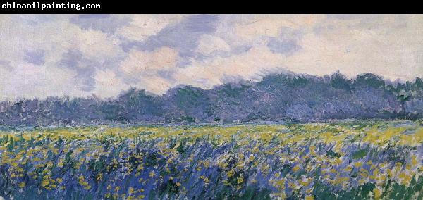 Claude Monet Field of Irses at Giverny