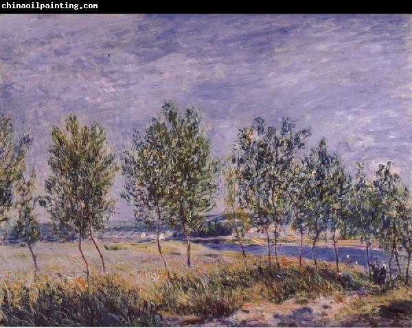 Claude Monet Poplars on a River Bank