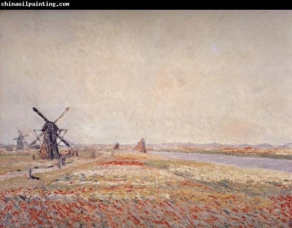 Claude Monet Field of Flowers and Windmills Near Leiden