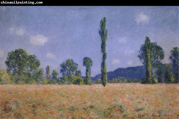 Claude Monet Poppy Field