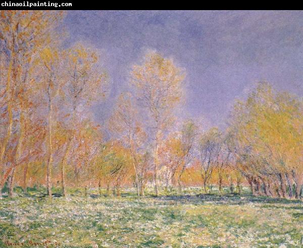 Claude Monet Springtime at Giverny