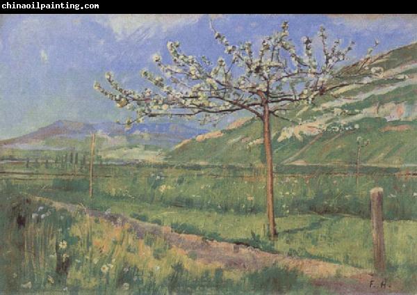 Ferdinand Hodler Apple tree in Blossom