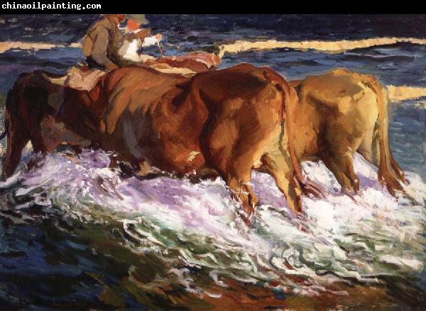 Joaquin Sorolla Y Bastida Oxen Study for the Afternoon Sun