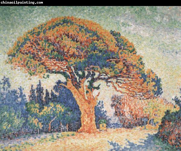 Paul Signac Pine Tree at Saint-Tropez