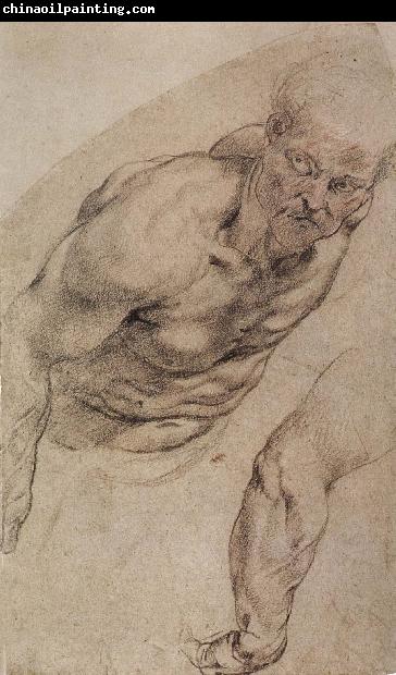 Peter Paul Rubens Portrait of naked man