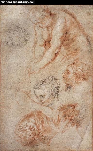 Peter Paul Rubens Woman sketch