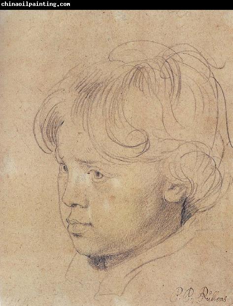 Peter Paul Rubens Portrait of Younger Rubens