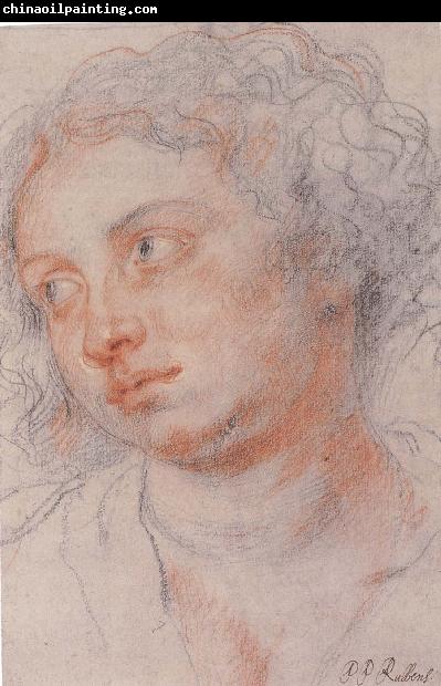 Peter Paul Rubens Portrait of Younger woman