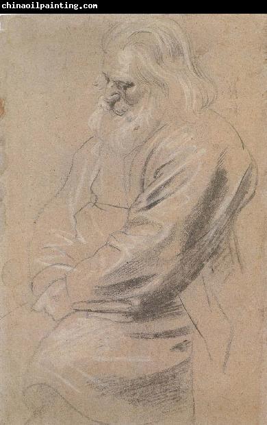 Peter Paul Rubens Sitting  old man