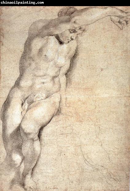 Peter Paul Rubens Portrait of naked woman