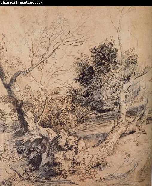 Peter Paul Rubens Forest landscape