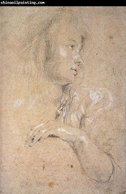 Peter Paul Rubens Study of Head