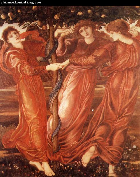 Sir Edward Coley Burne-Jones The Garden of the Hesperides