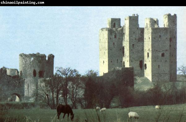 unknow artist Trim Castle