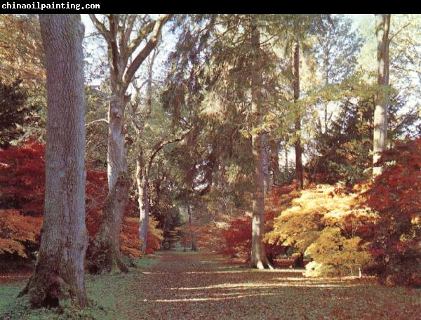 unknow artist Westonbirt Arboretum