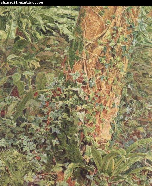 Albert Joseph Moore,ARWS Study of an Ash Trunk (mk46)