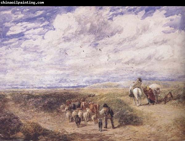 David Cox Keep the Left Road (mk47)