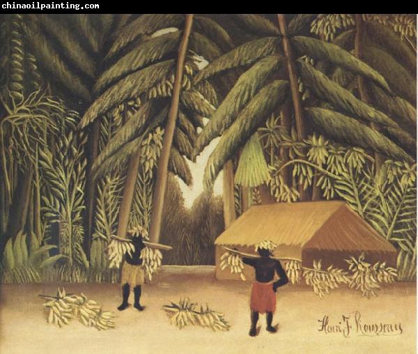 Henri Rousseau The Banana Harvest