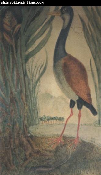 Henri Rousseau Wader