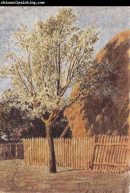 John linnell Study of a Tree