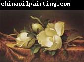 Martin Johnson Heade Magnolia