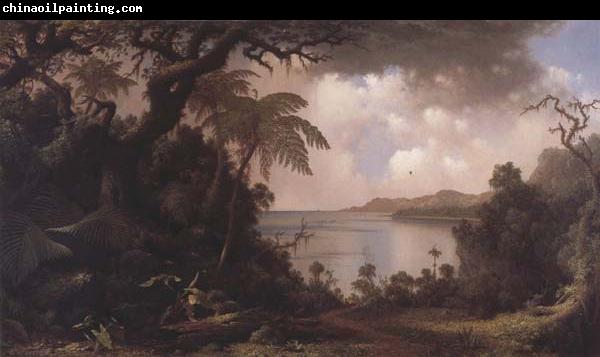 Martin Johnson Heade Vew from Fern-Tree Walk,Jamaica