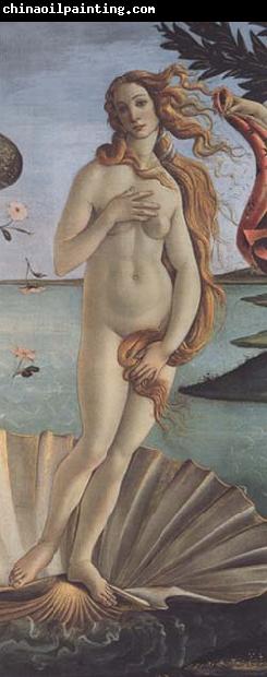 Sandro Botticelli The Birth of Venus