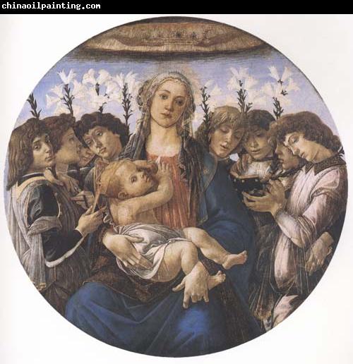 Sandro Botticelli Madonna and child with eight Angels or Raczinskj Tondo