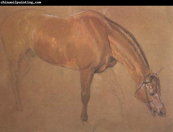 Sir edwin landseer,ra Study of a Horse (mk46)